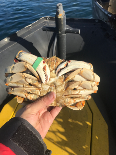 biological sampling