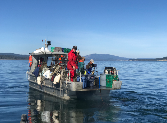 at-sea observers